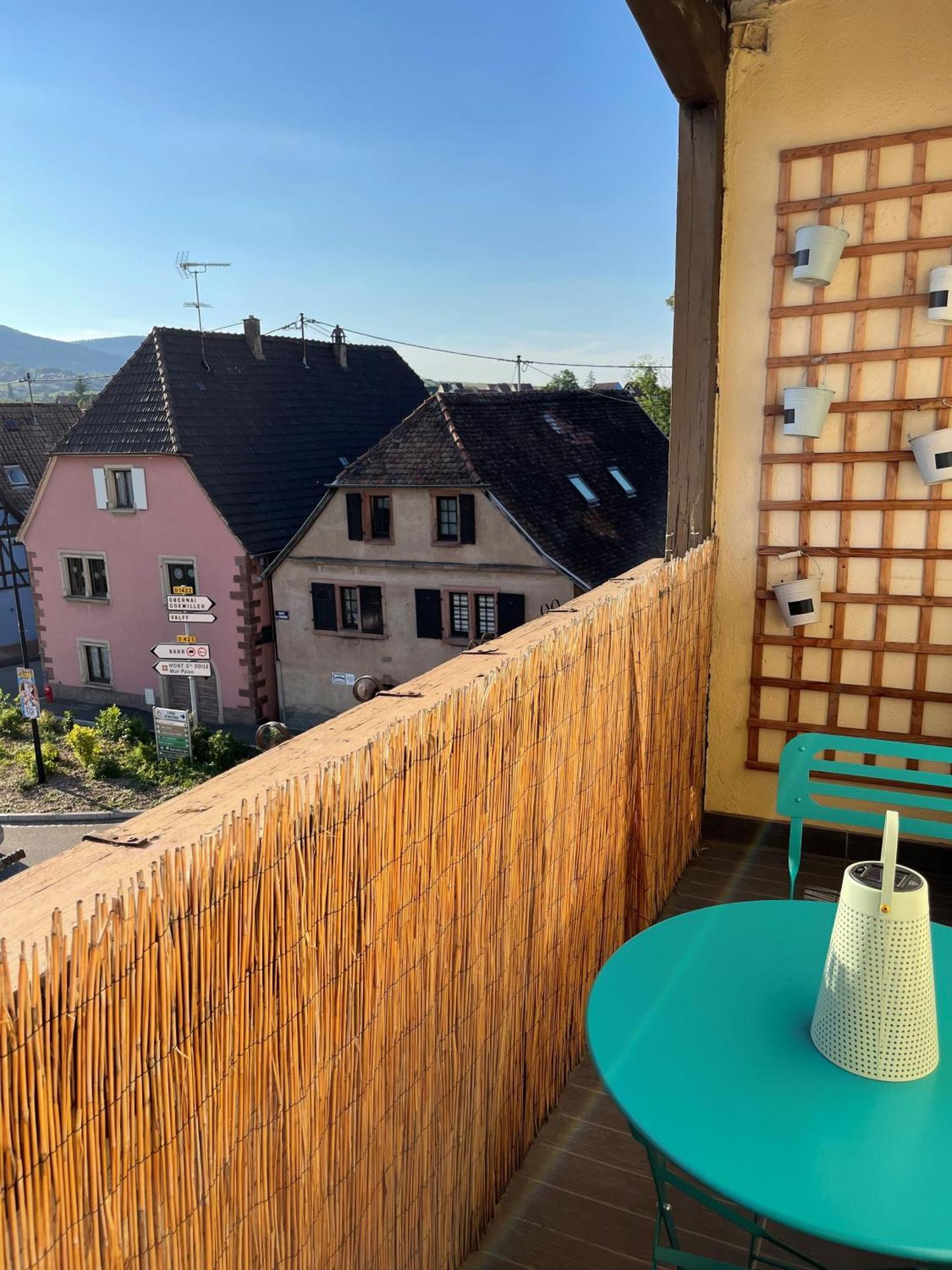 Appartement Centre Alsace Gertwiller Екстер'єр фото