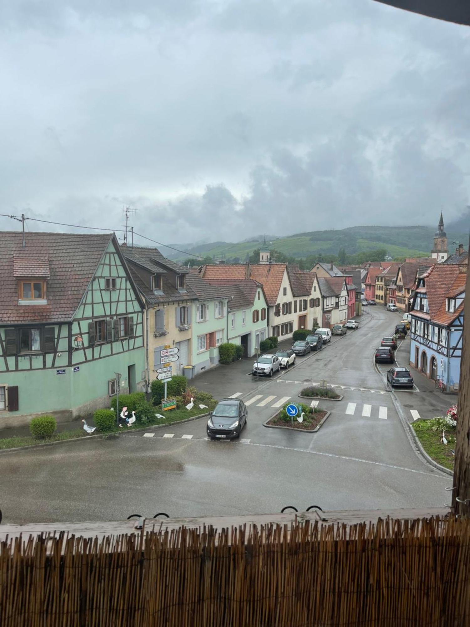 Appartement Centre Alsace Gertwiller Екстер'єр фото